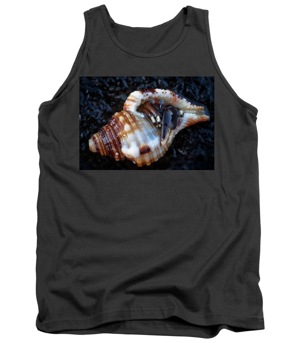 Hermit Crab Tank Top featuring the photograph Hiding Place by Christopher Johnson