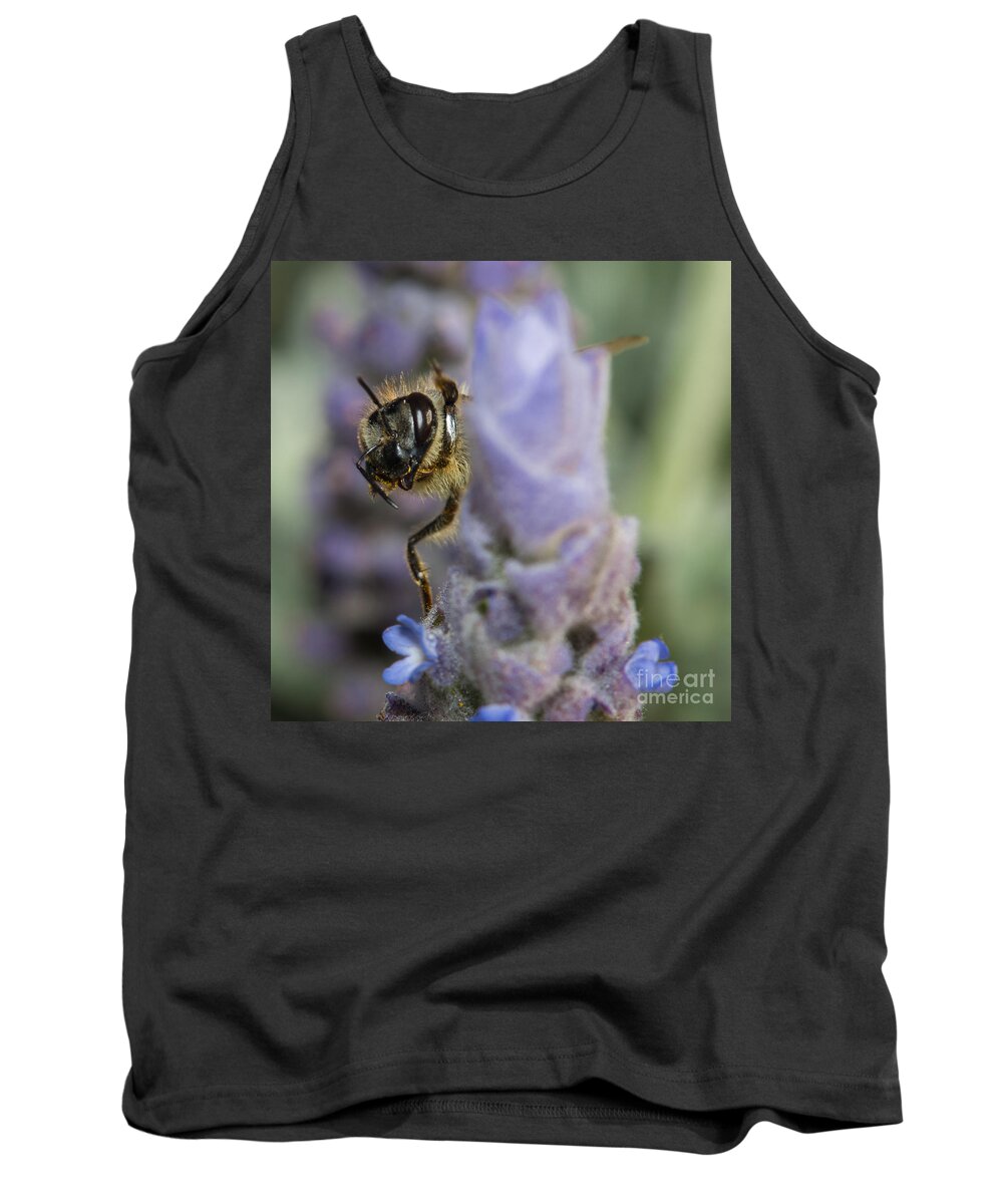 Honey Bee Tank Top featuring the photograph High Five by Shawn Jeffries
