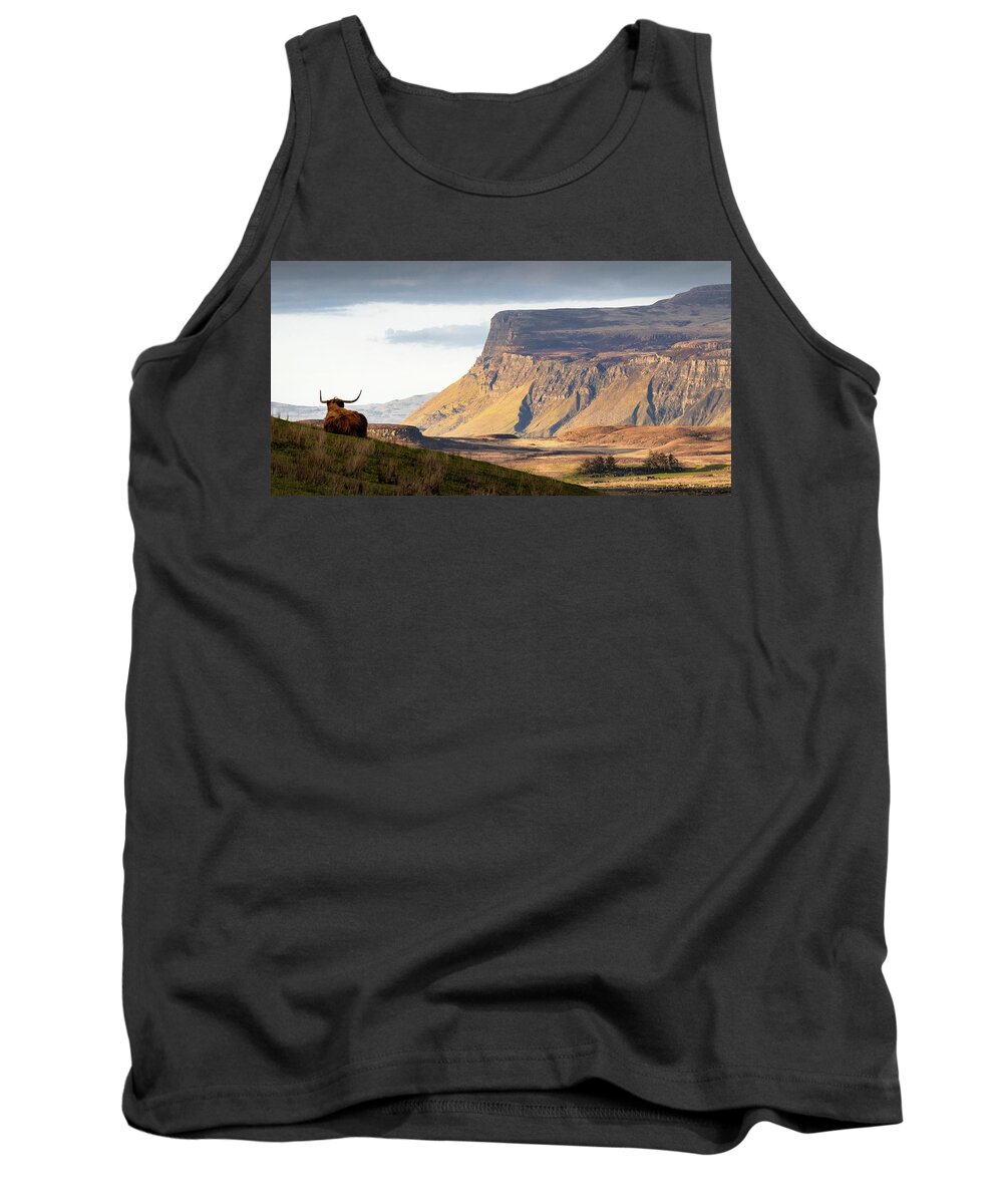 Highland Cow Tank Top featuring the photograph Highland Coo with a View by Dave Bowman