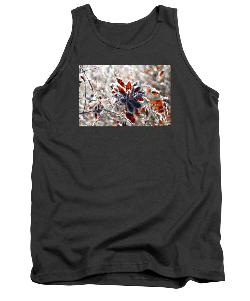 Frost Tank Top featuring the photograph Hoar Frost - Nature's Christmas Lights by Peggy Collins