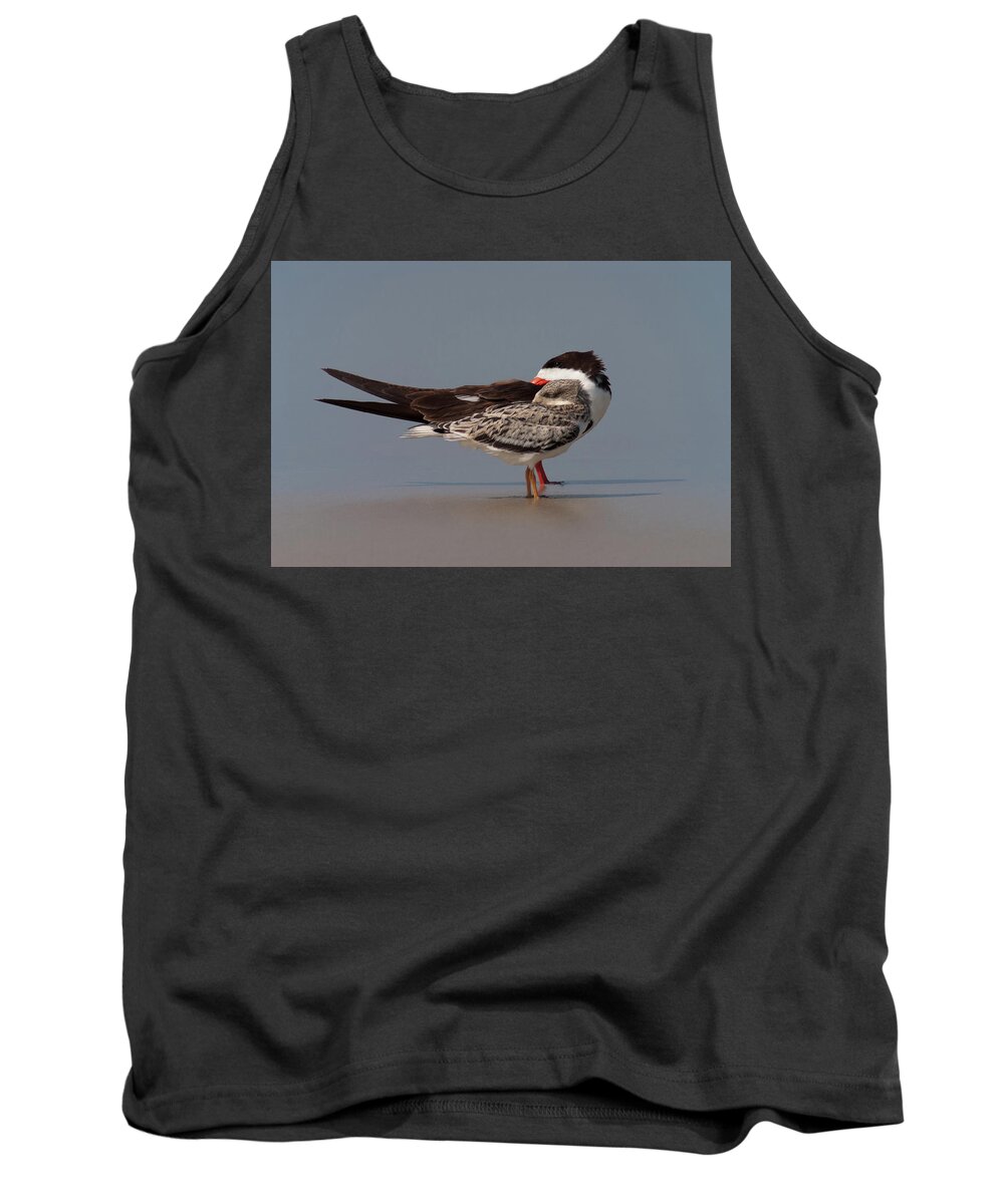 Black Skimmer Tank Top featuring the photograph Homer and Bart by Paul Rebmann