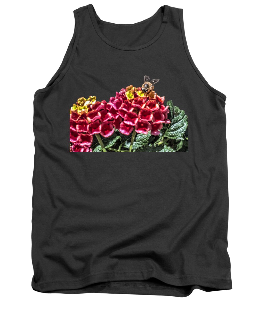 Honey Bee On Flower Tank Top featuring the photograph Honey Bee on Flower by Daniel Hebard
