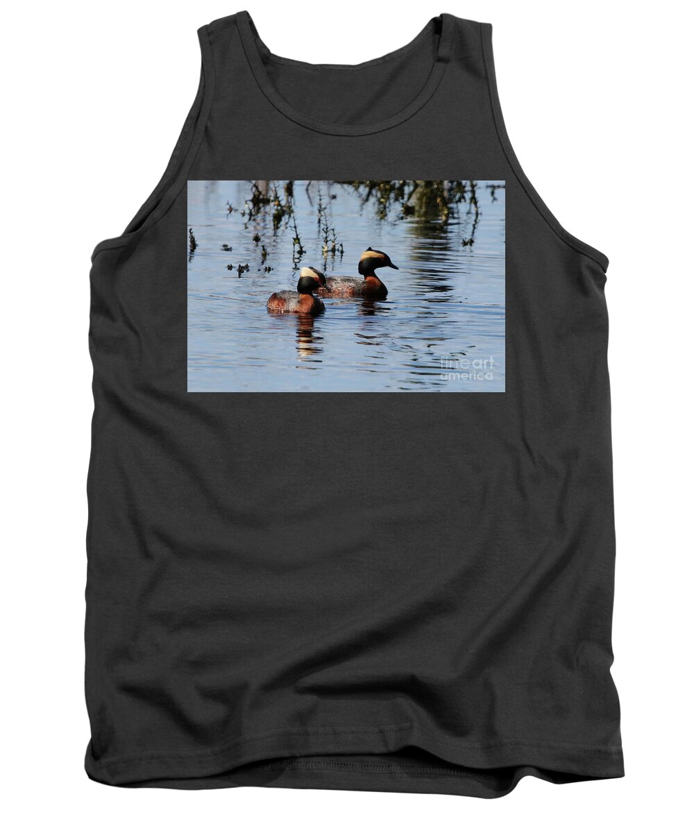 Horned Grebe Couple Tank Top featuring the photograph Horned Grebe Couple by Alyce Taylor