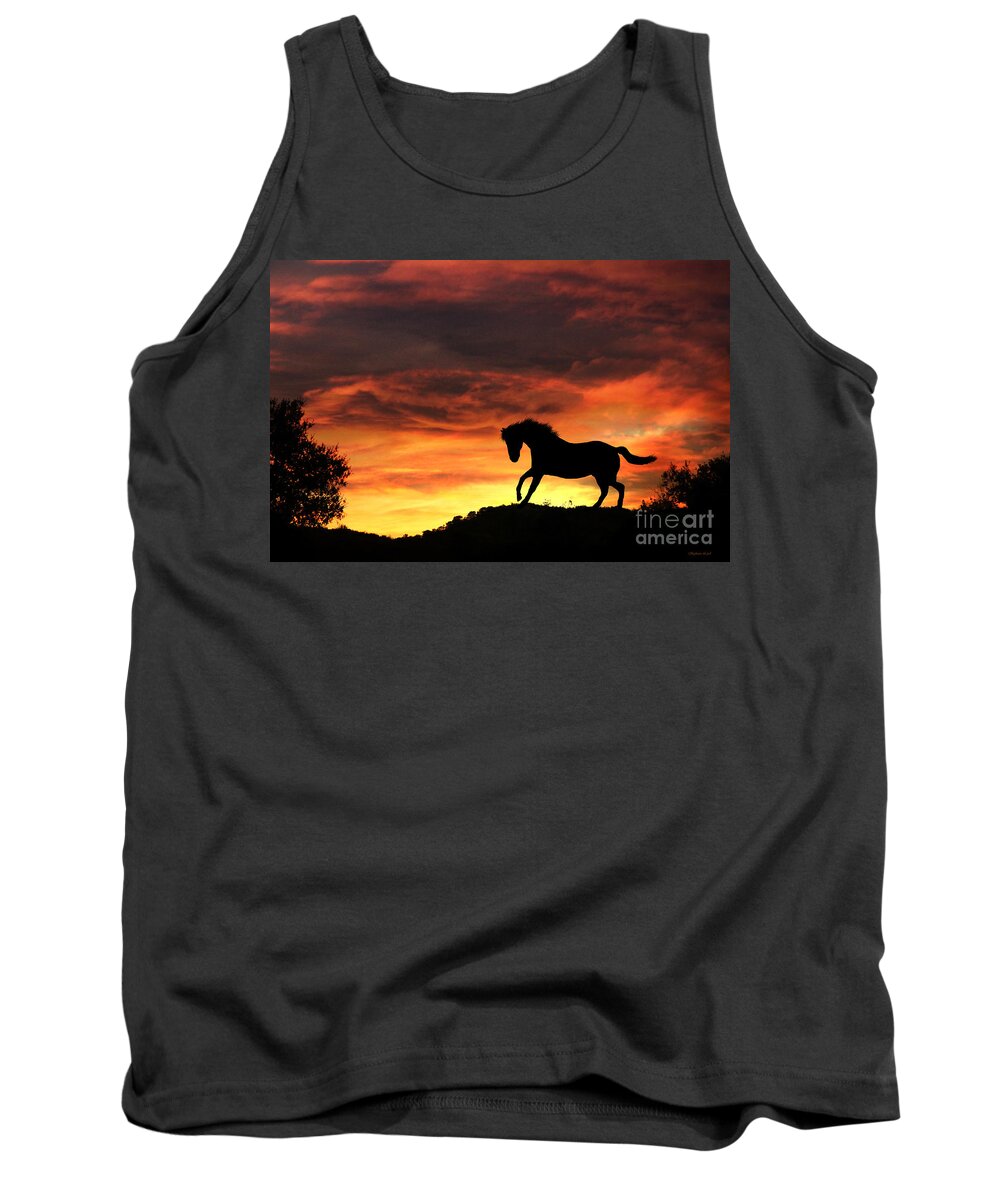 Horse Tank Top featuring the photograph Horse in Firey Sunset by Stephanie Laird