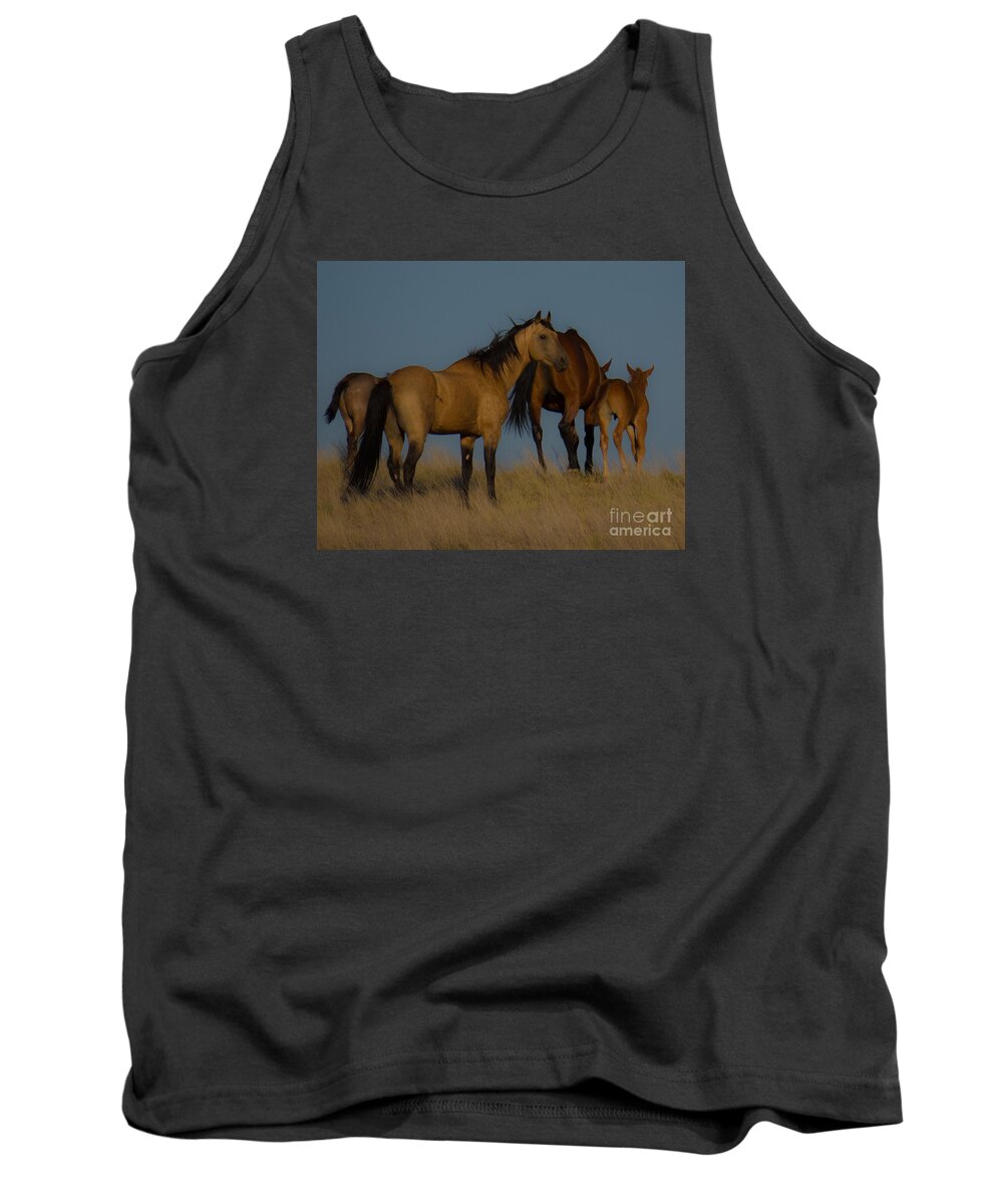 Horse Tank Top featuring the photograph Horses 1 by Christy Garavetto