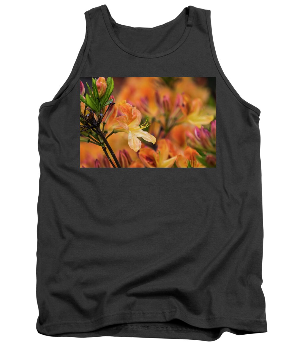 Anthers Tank Top featuring the photograph Hot Azalea by Robert Potts