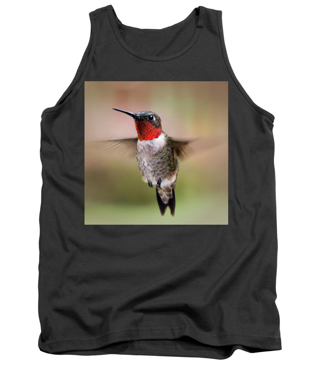 Hummingbird Tank Top featuring the photograph Hovering I by Richard Macquade