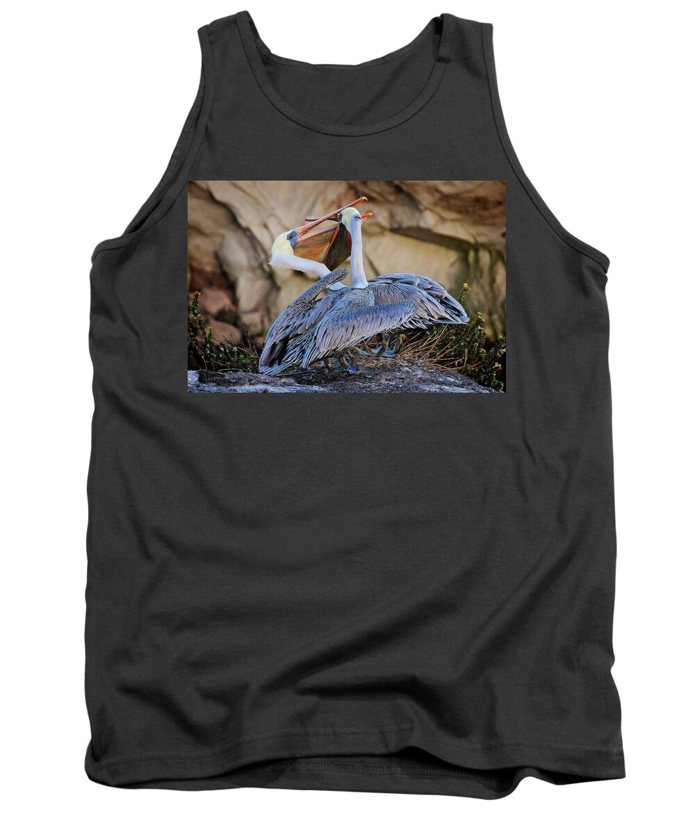Nature Tank Top featuring the photograph How Pelicans Kiss, California Brown Pelicans by Zayne Diamond