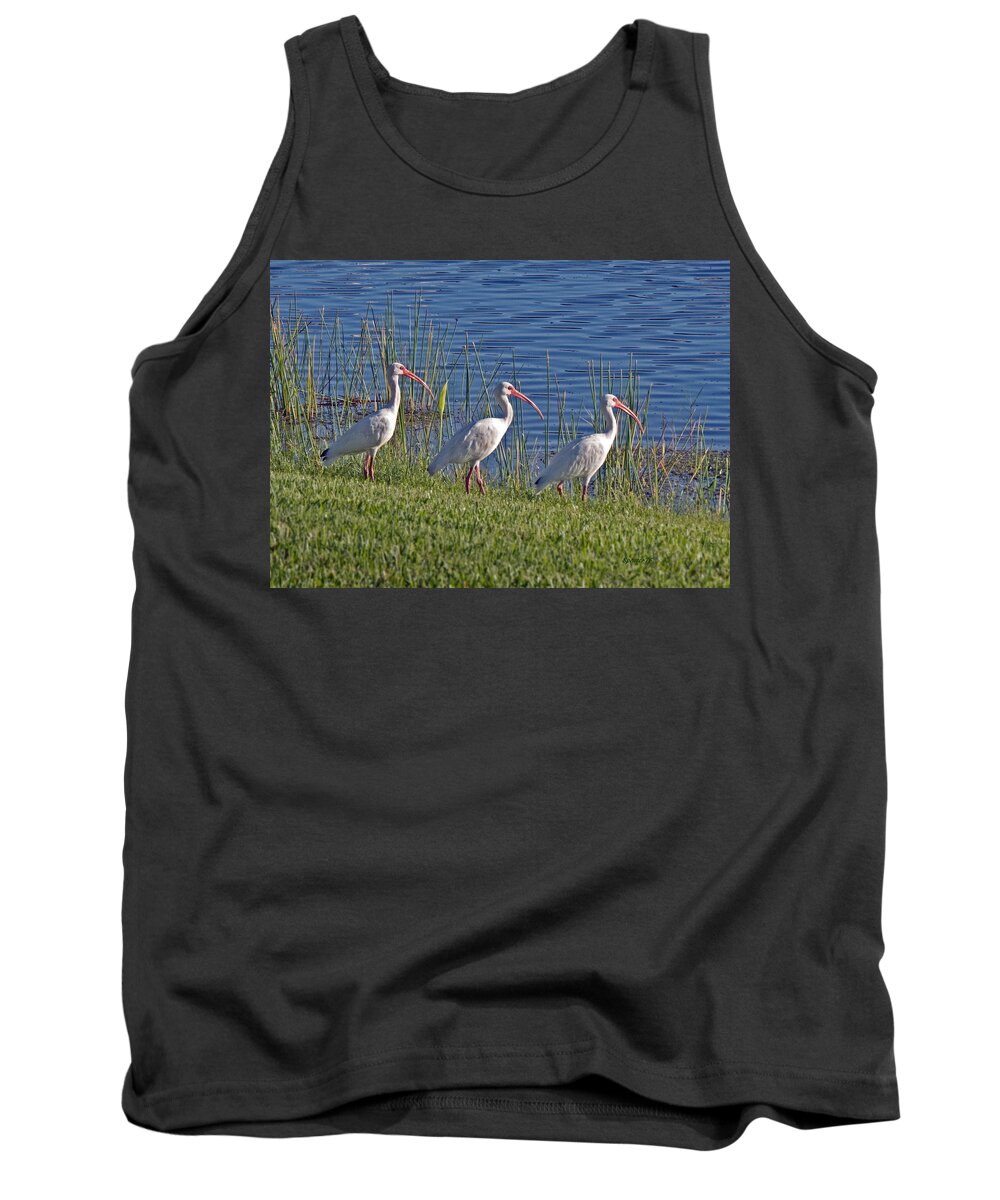 Bird Tank Top featuring the photograph Huey Dewey and Louise by T Guy Spencer