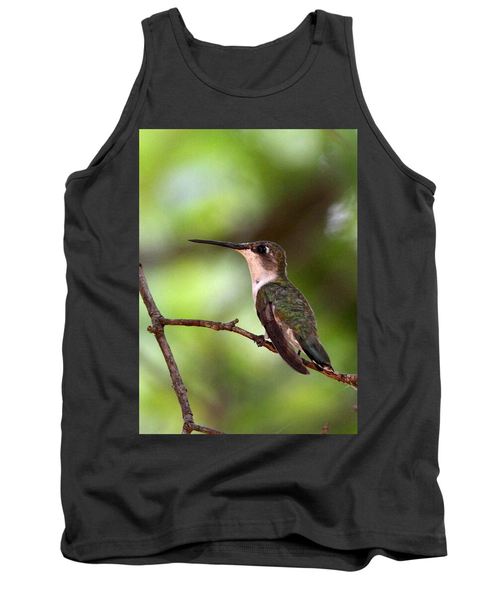 5x7 Tank Top featuring the photograph Hummingbird - Afternoon Ruby by Travis Truelove
