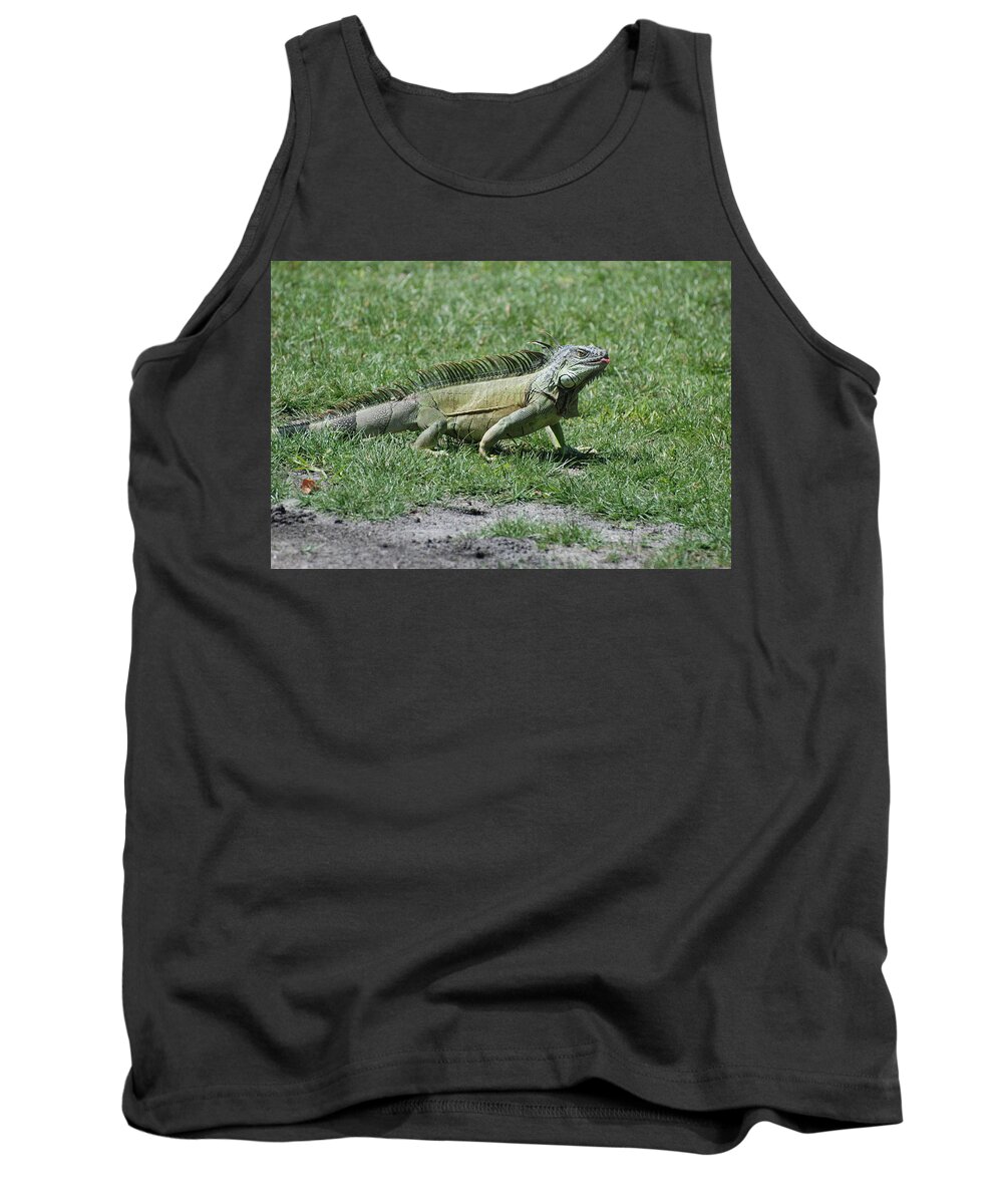 Macro Tank Top featuring the photograph I Iguana by Rob Hans
