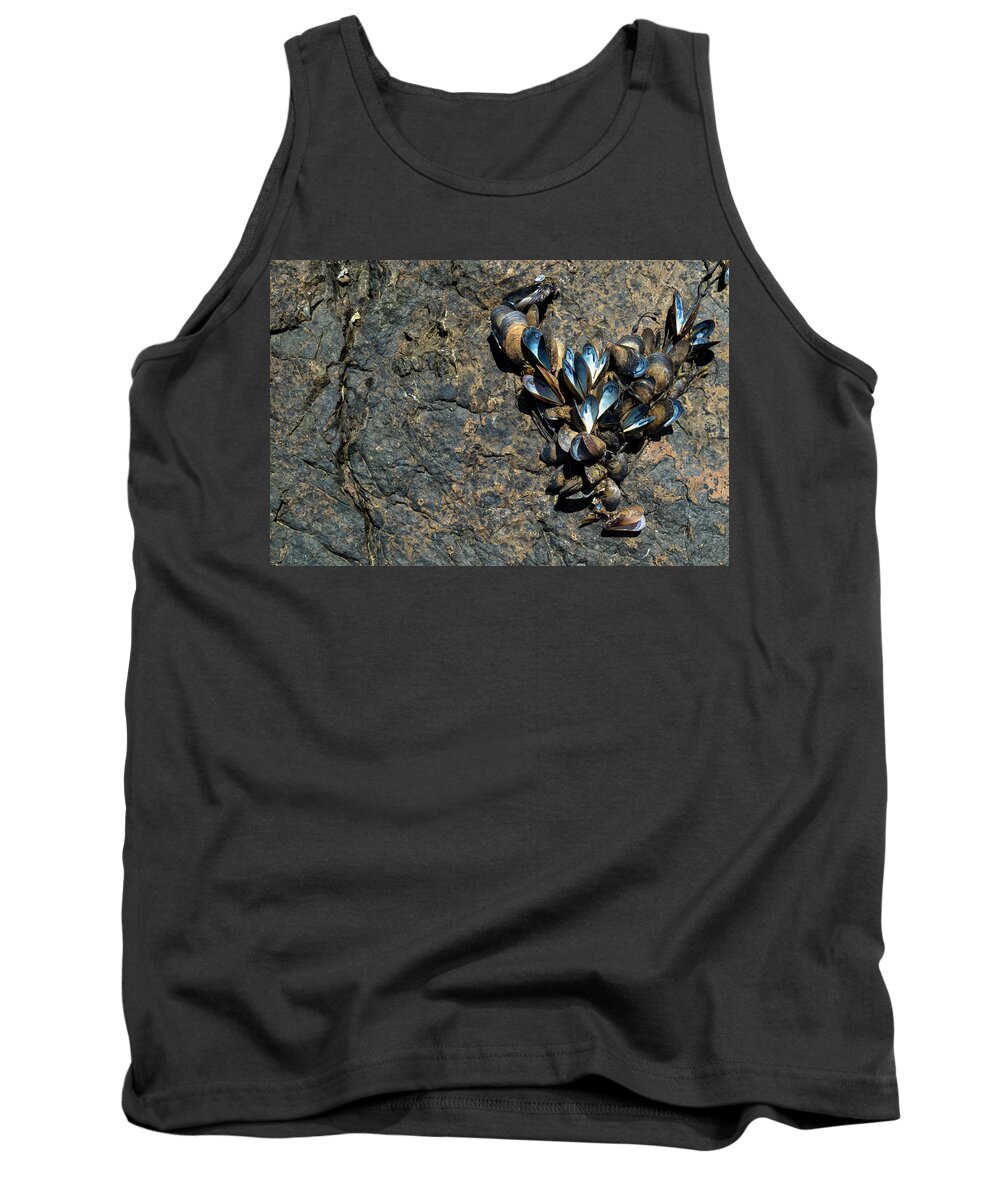 Maine Tank Top featuring the photograph I Love Maine by Holly Ross
