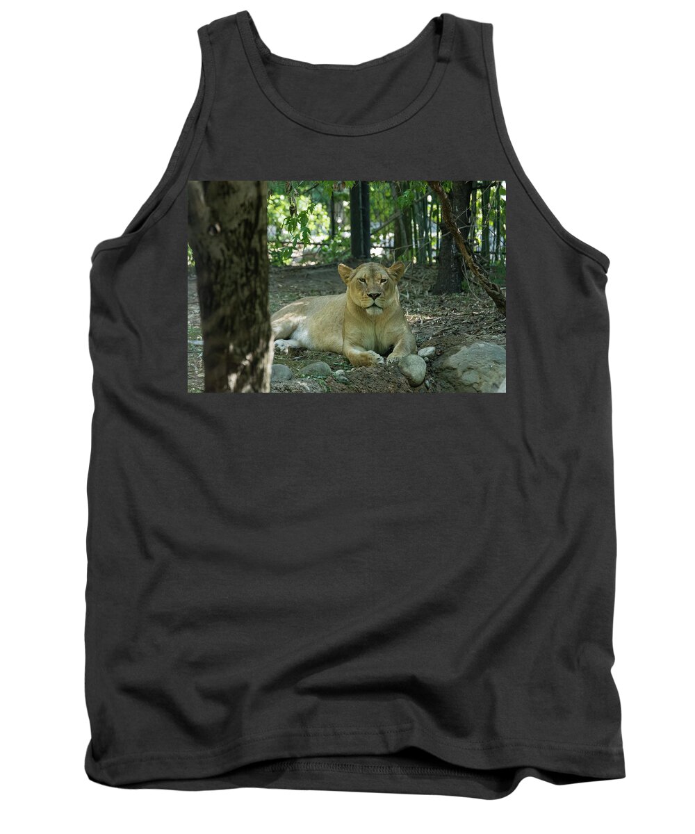 Cat Tank Top featuring the photograph I see you by Ryan Crane