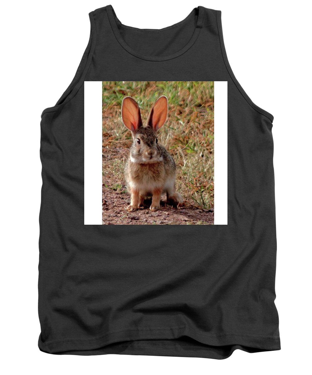 Wildlife Tank Top featuring the photograph Rabbit by Marvin Reinhart