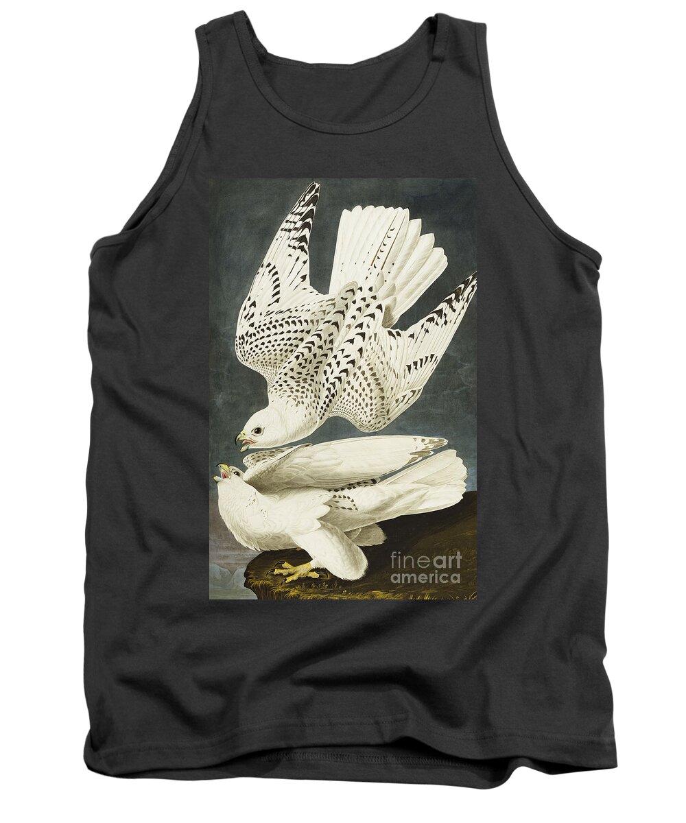 Iceland Or Jer Falcon Tank Top featuring the drawing Iceland Or Jer Falcon by John James Audubon
