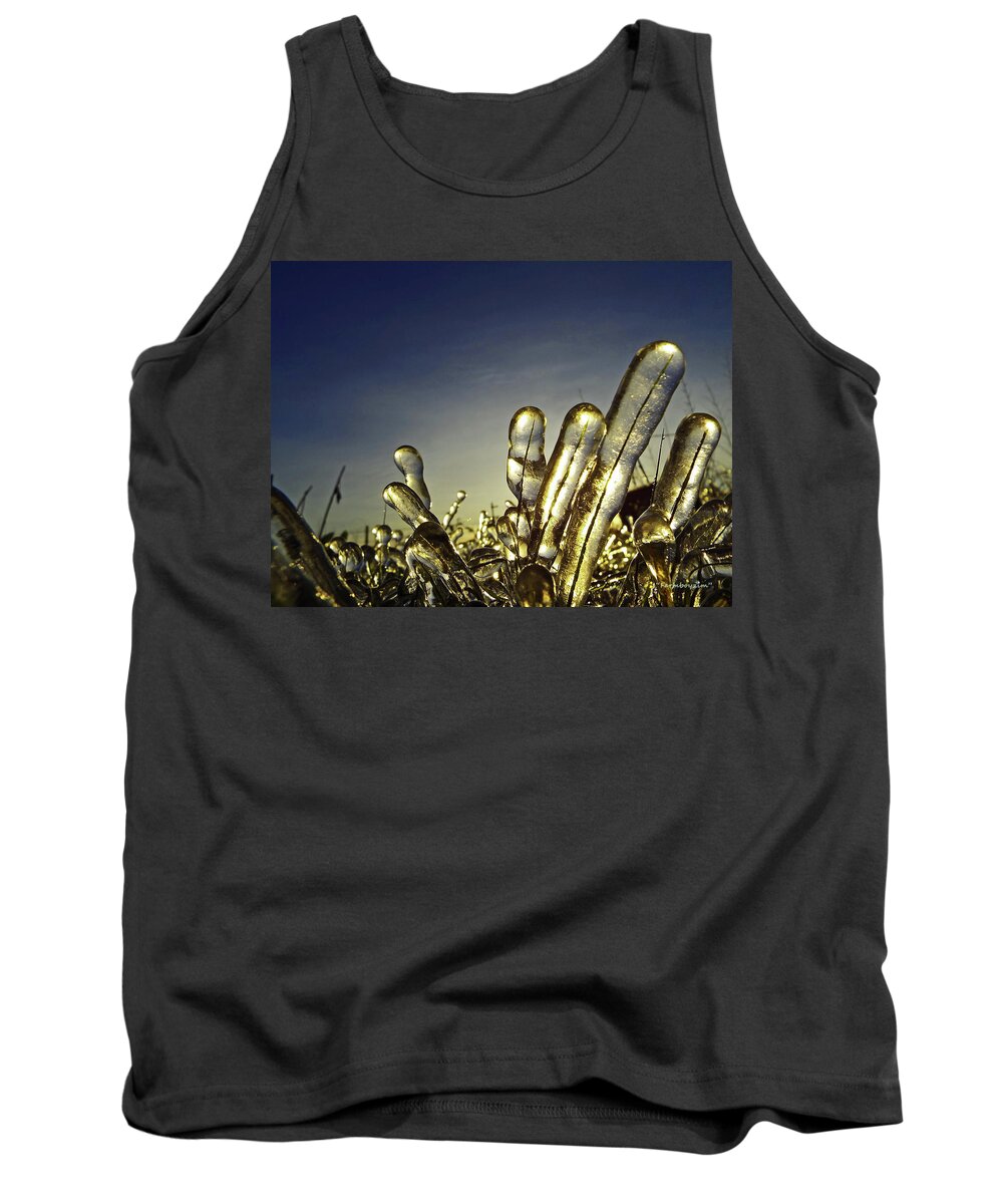 Nature Tank Top featuring the photograph Icy Lawn by Harold Zimmer