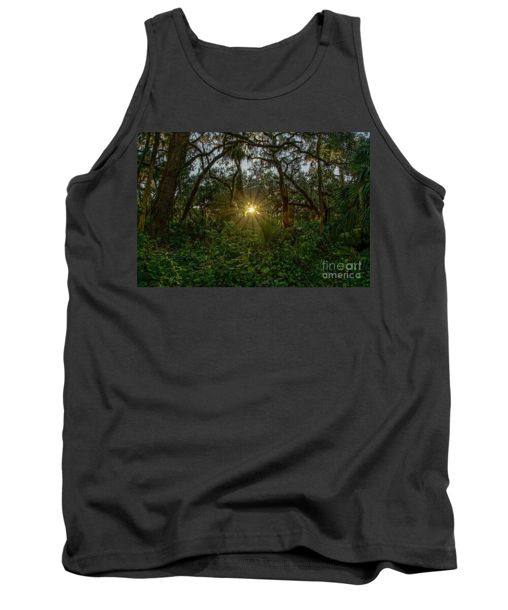 Vine Tank Top featuring the photograph Illuminated by Brian Kamprath