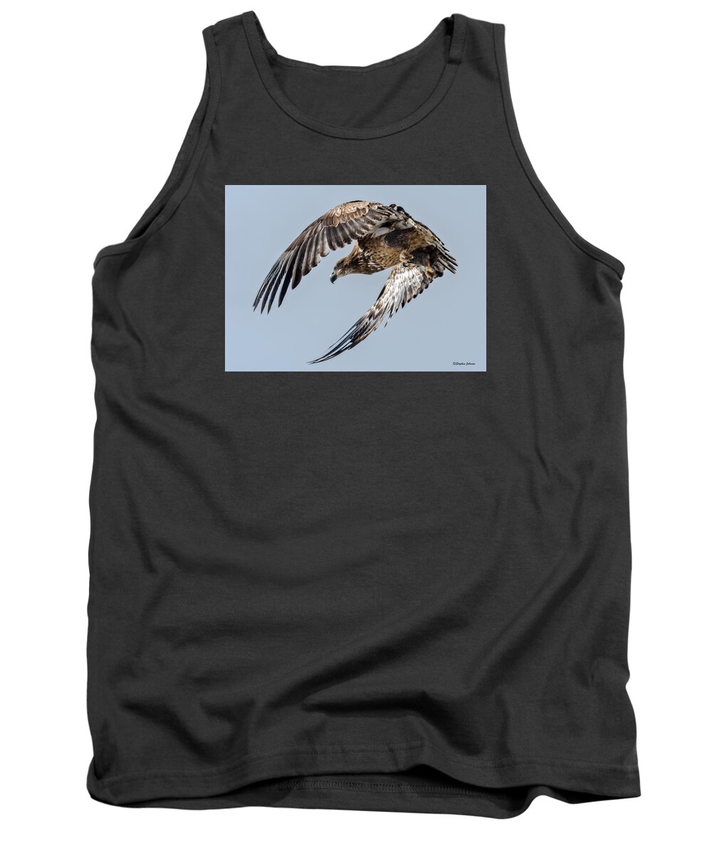 Bald Eagle Tank Top featuring the photograph Immature Bald Eagle Leaving a Perch by Stephen Johnson