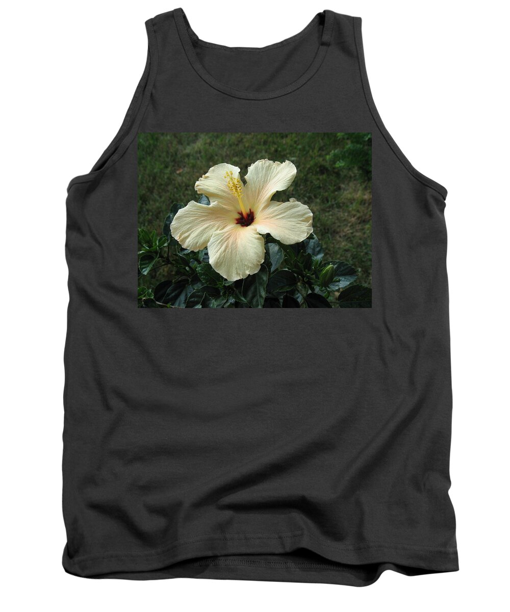 Flowers Tank Top featuring the photograph In Bloom by Ed Smith