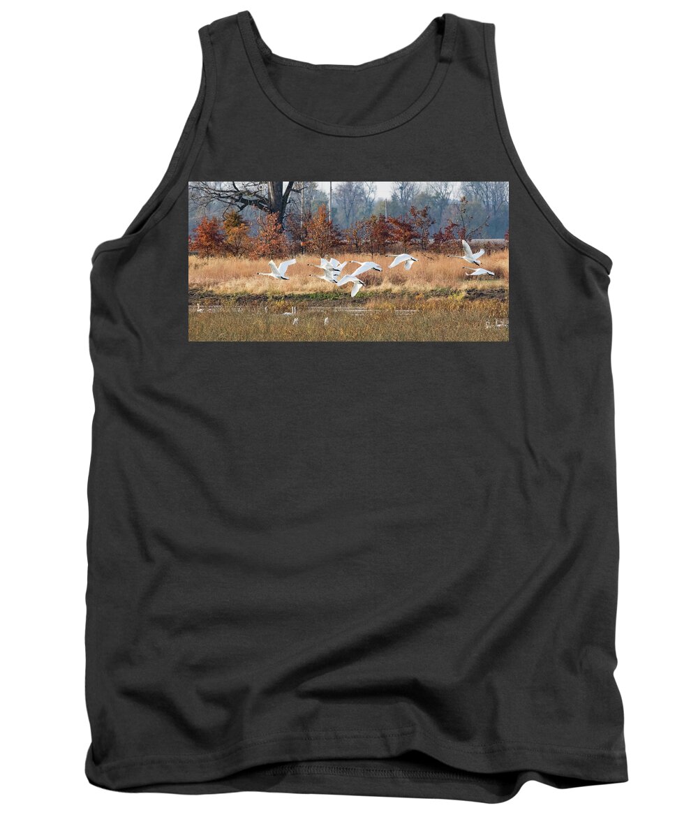 Swans Tank Top featuring the photograph In Flight by Holly Ross