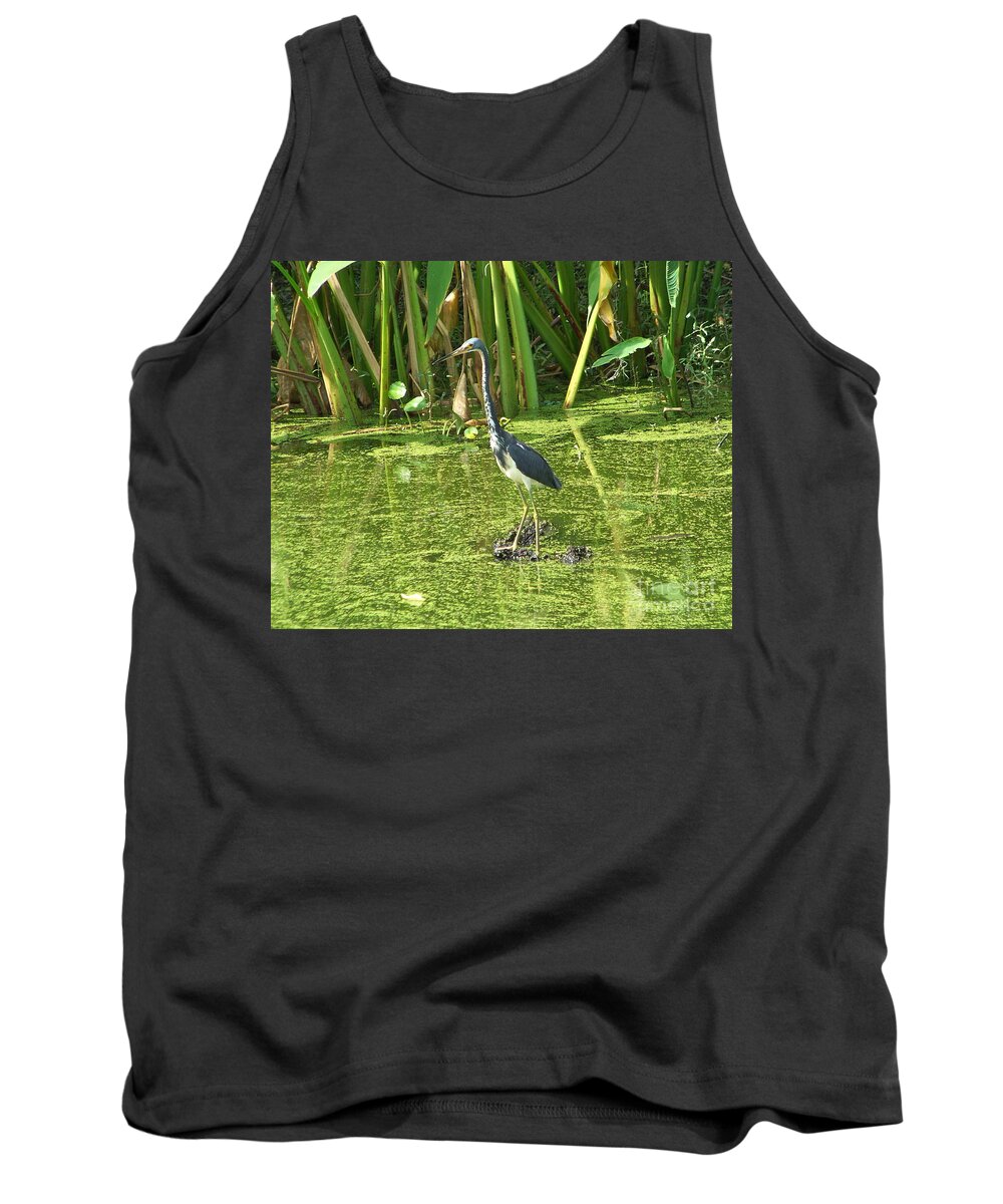 Heron Tank Top featuring the photograph In Green Soup by Carol Bradley