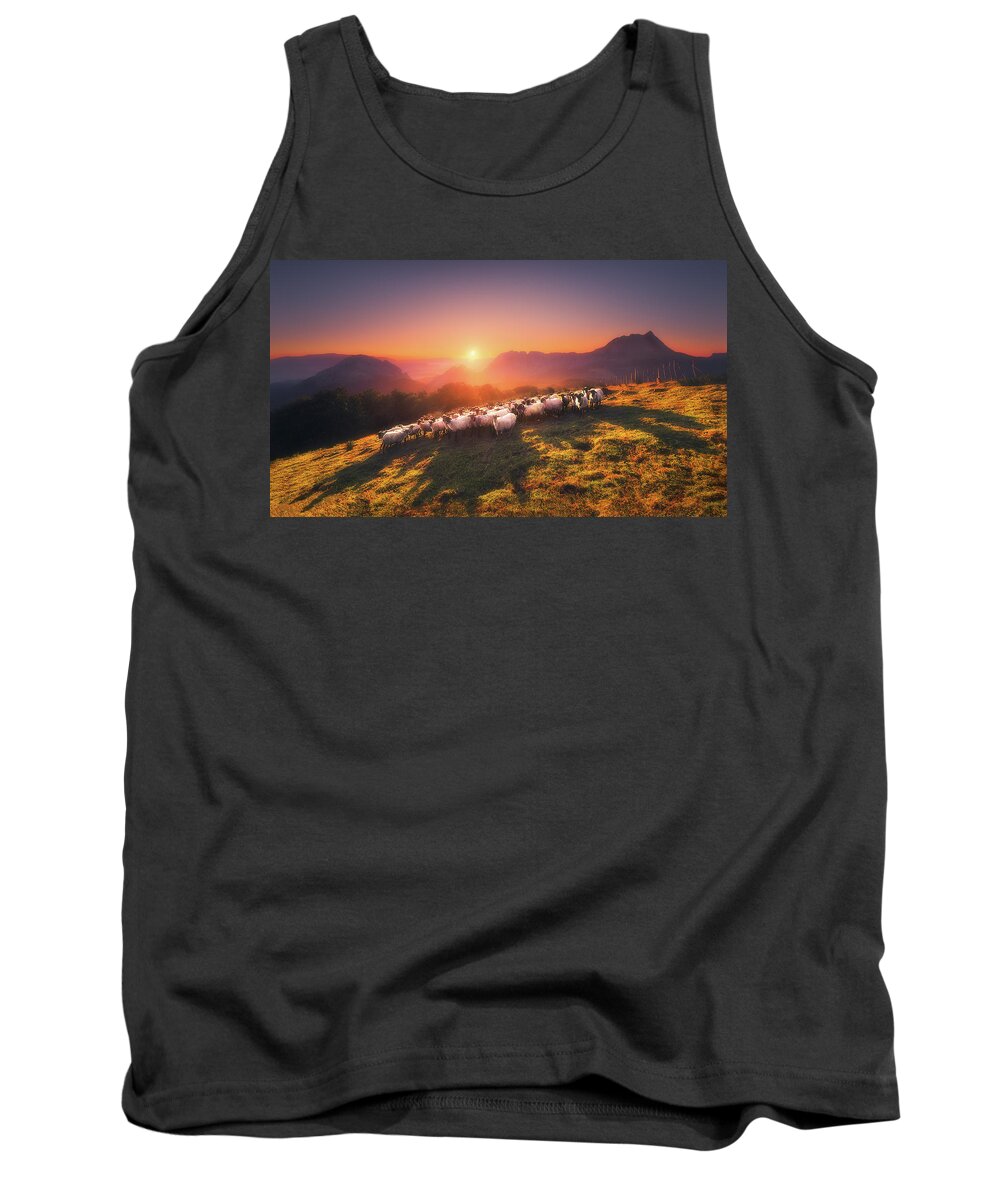 Sheep Tank Top featuring the photograph In Saibi with companionsheep by Mikel Martinez de Osaba