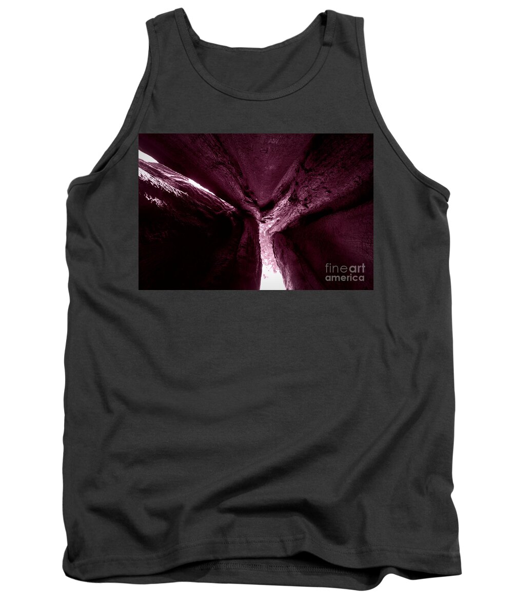 Giant Sequoia Tank Top featuring the photograph In The Belly of a Two Headed Giant by Leah McPhail