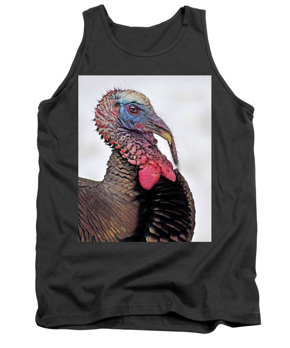 An Adult Male Wild Turkey Portrait - Parc Omega Tank Top featuring the photograph In The Mood by Tony Beck