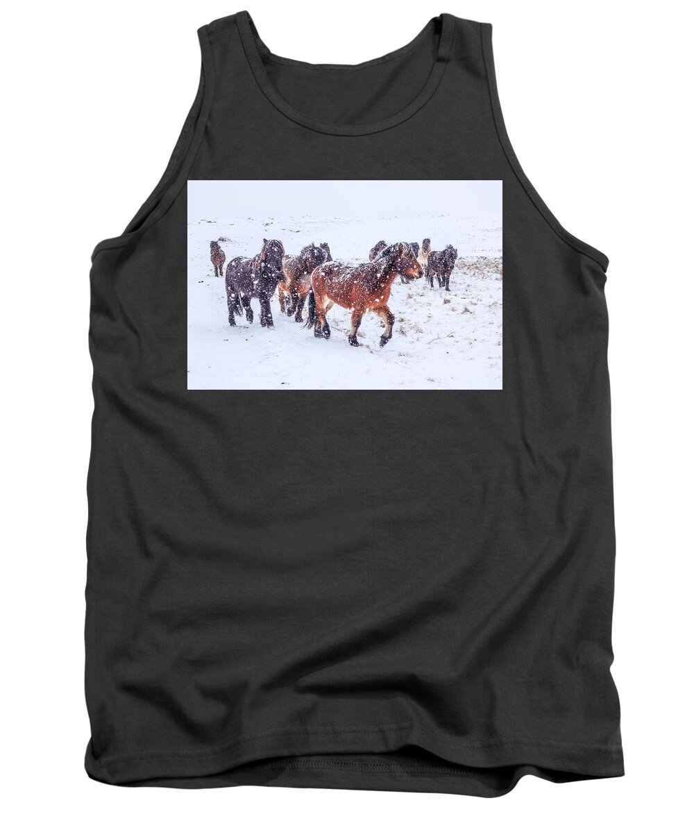 Horse Tank Top featuring the photograph In the Storm 2 by Tom and Pat Cory