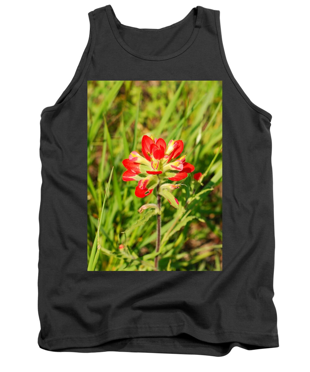 Rural Texas Tank Top featuring the photograph Indian Paintbrush Close Up by Connie Fox