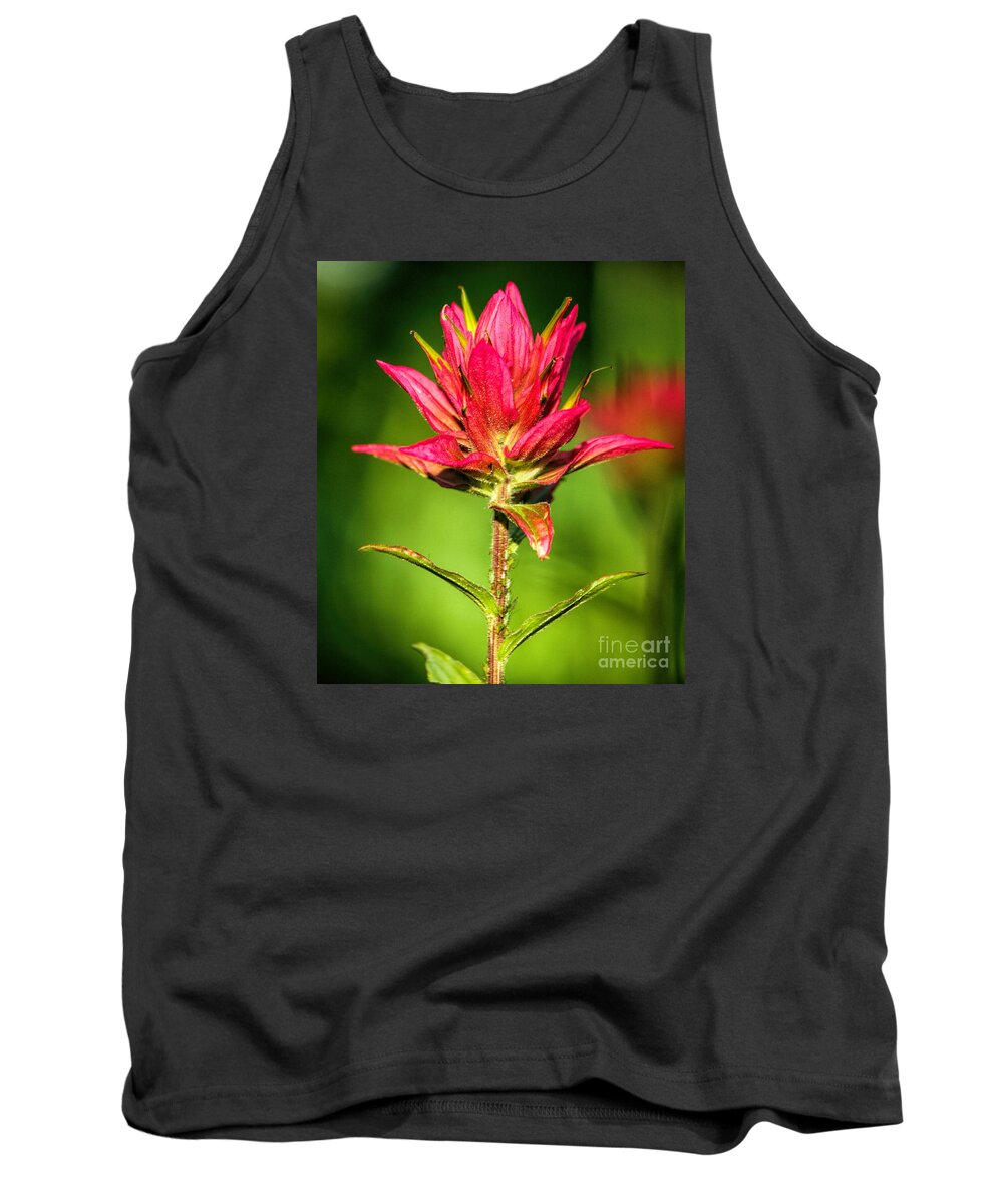 Indian Paintbrush Tank Top featuring the photograph Indian Paintbrush by Richard Lynch