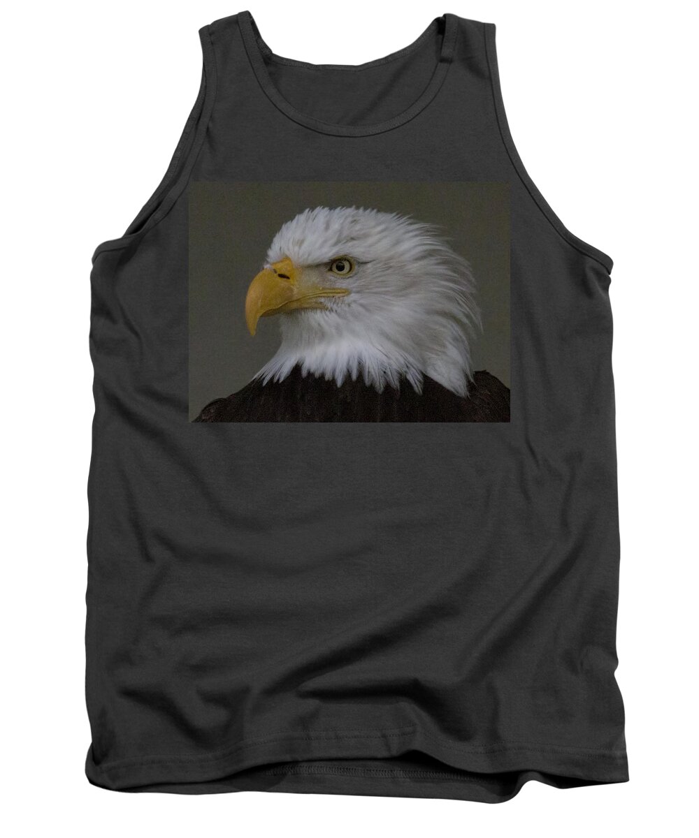 Bald Eagle Tank Top featuring the photograph Intense by Randy Hall