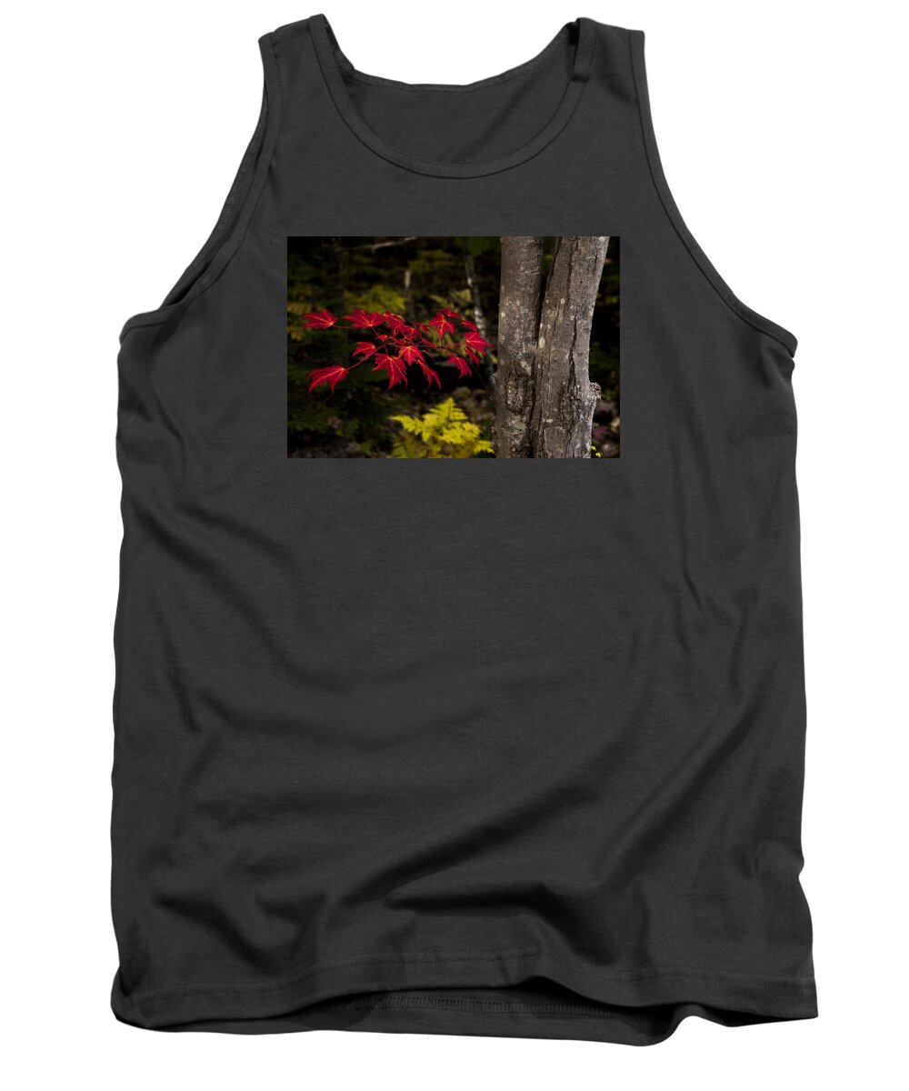 Intensity Tank Top featuring the photograph Intensity by Chad Dutson