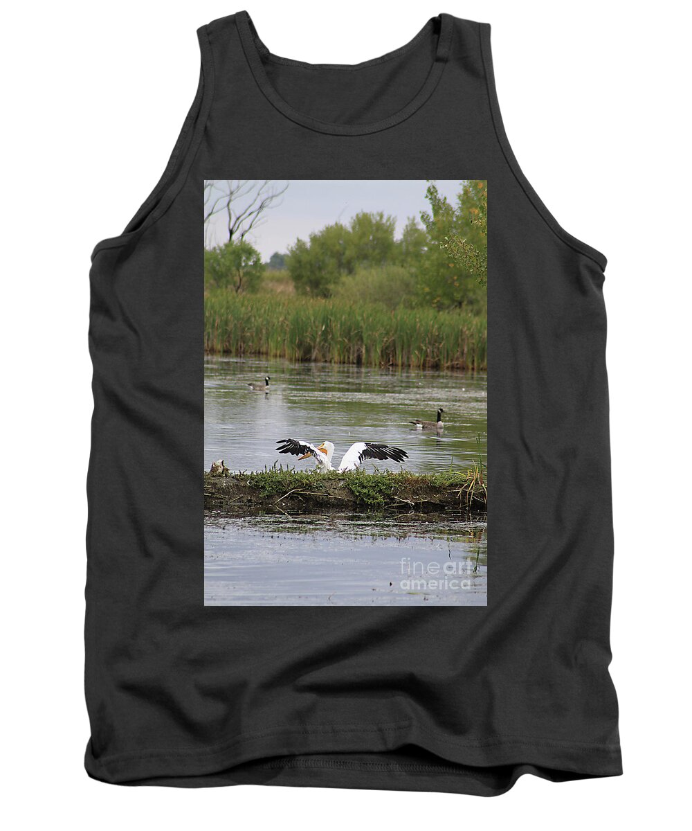 Animal Tank Top featuring the photograph Into the Water by Alyce Taylor