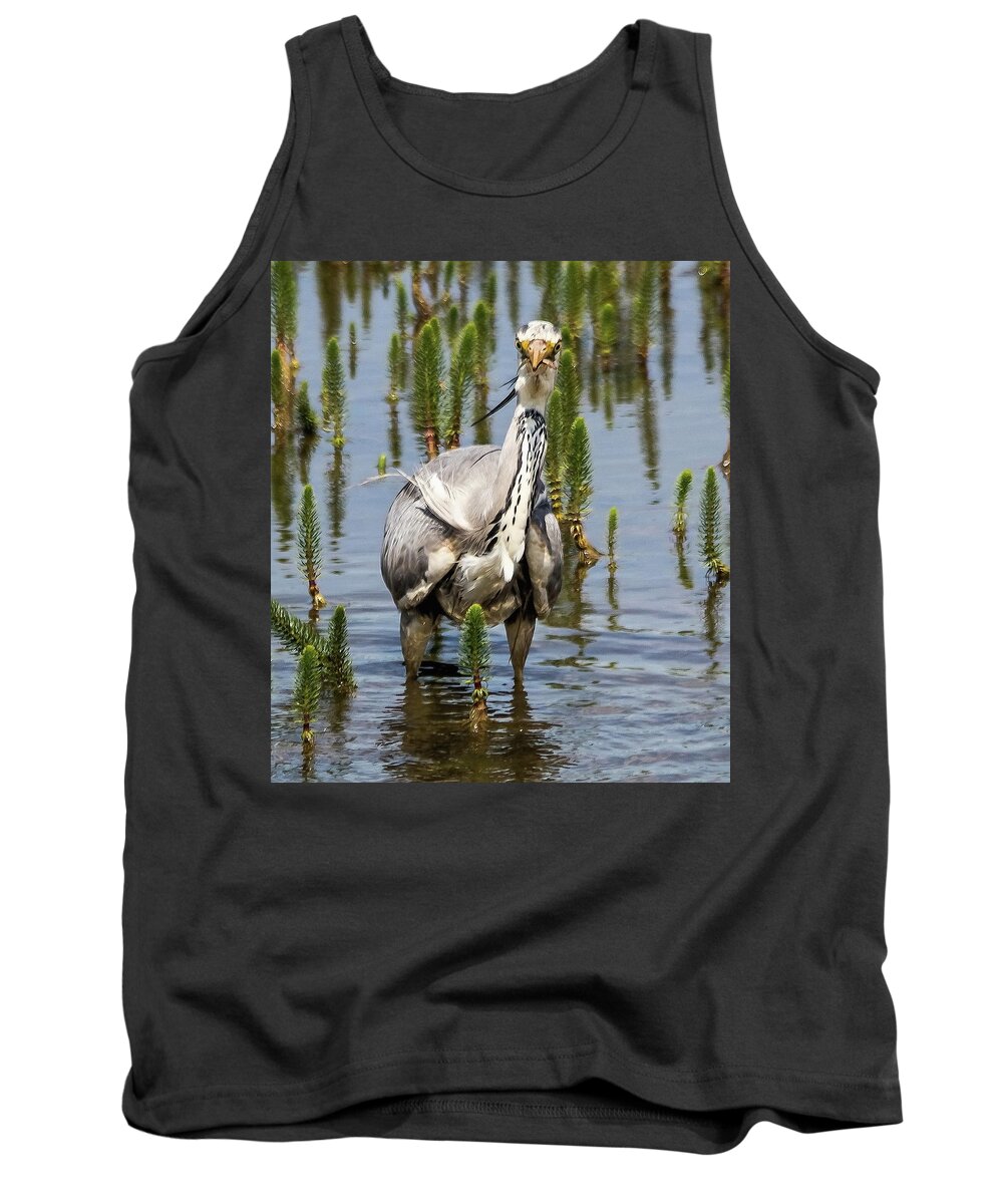 Grey Heron Tank Top featuring the photograph Its not big enough to share by Jeff Townsend