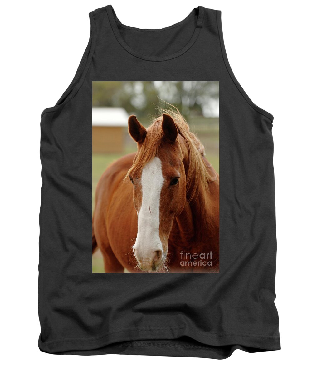  Tank Top featuring the photograph Jake #2 by Carien Schippers