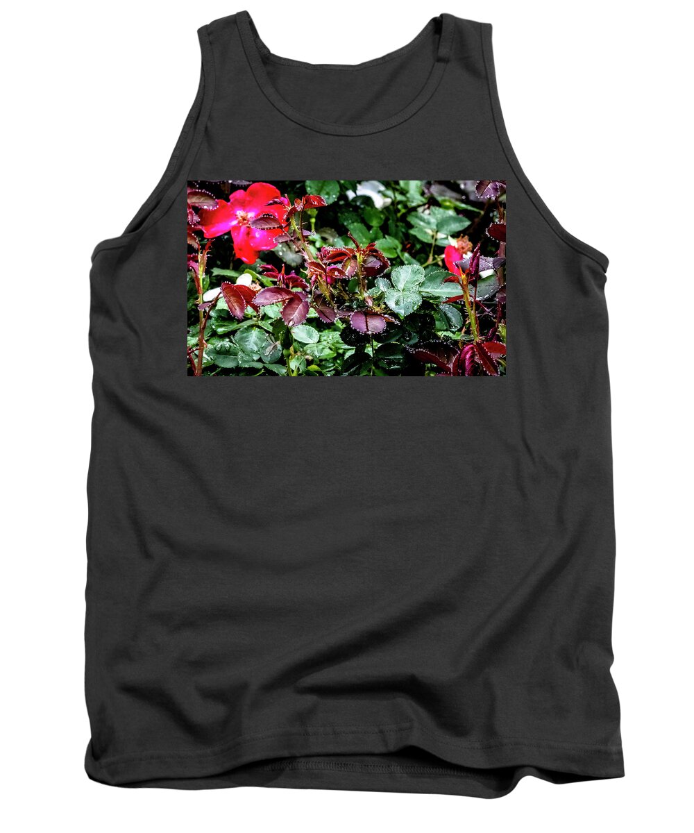 Raindrops Tank Top featuring the digital art Jewels of the Rain by Ed Stines