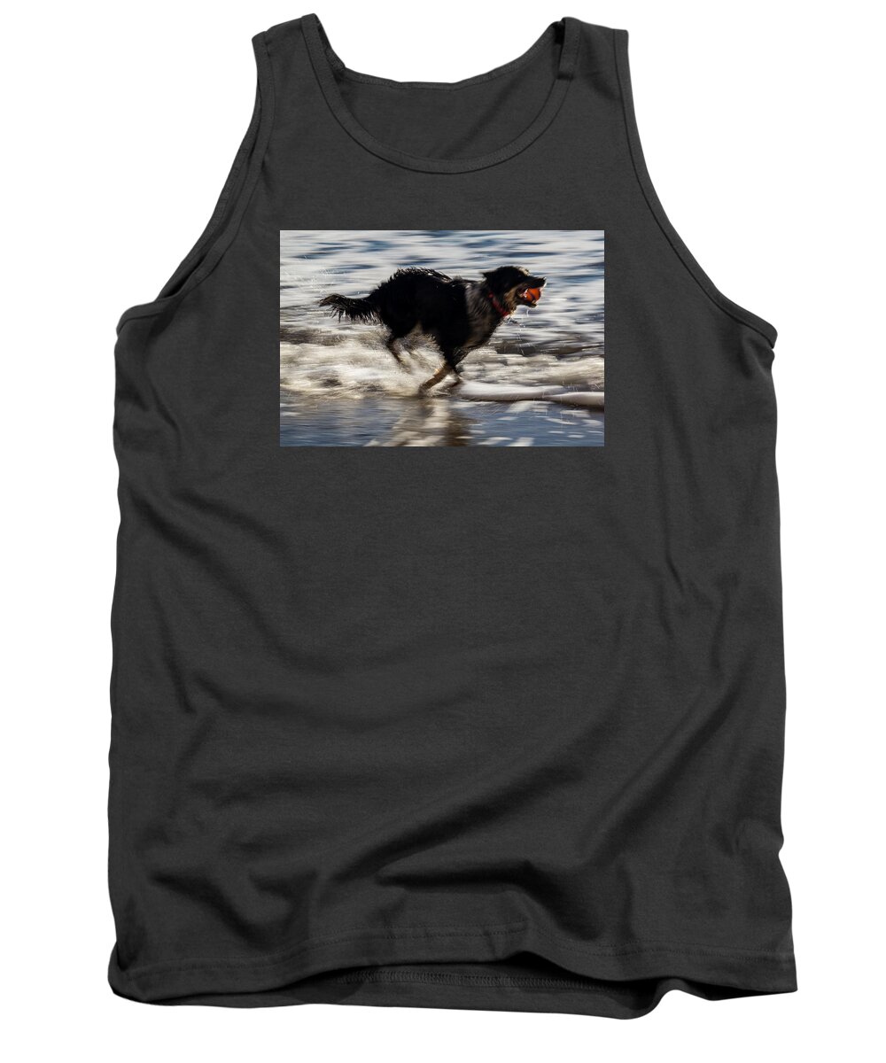 Dog Tank Top featuring the photograph Joy in Motion by Shawn Jeffries