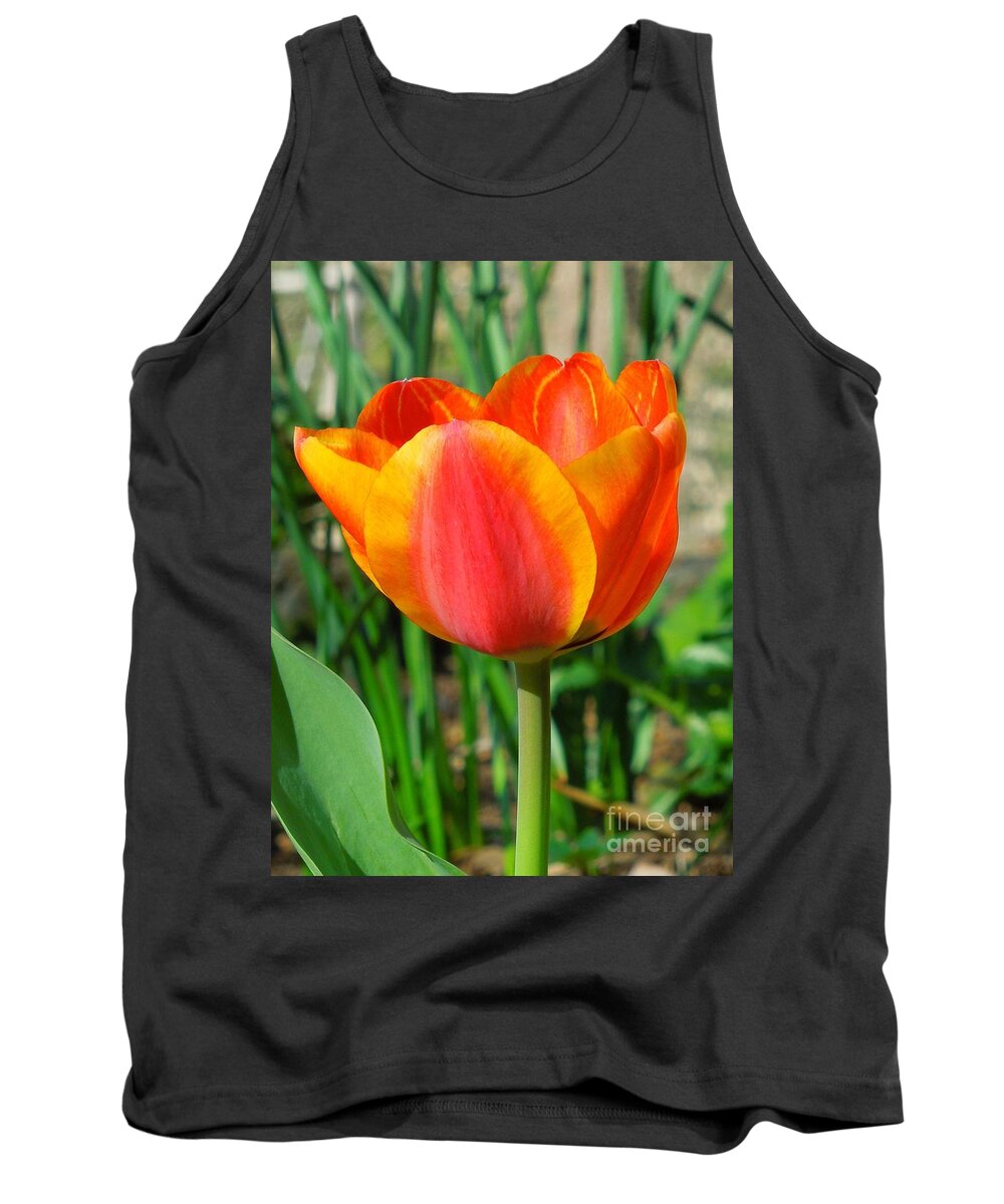 Tulip Tank Top featuring the photograph Joyful Tulip by Chad and Stacey Hall