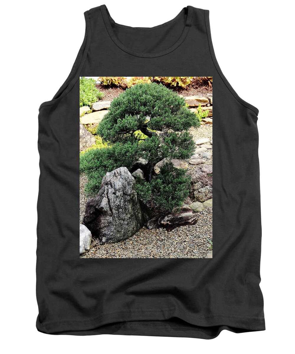 Tree Tank Top featuring the photograph Juniper by Allen Nice-Webb