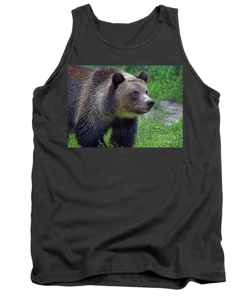 Bear Tank Top featuring the photograph Juvie Grizzly Bear by Larry Nieland