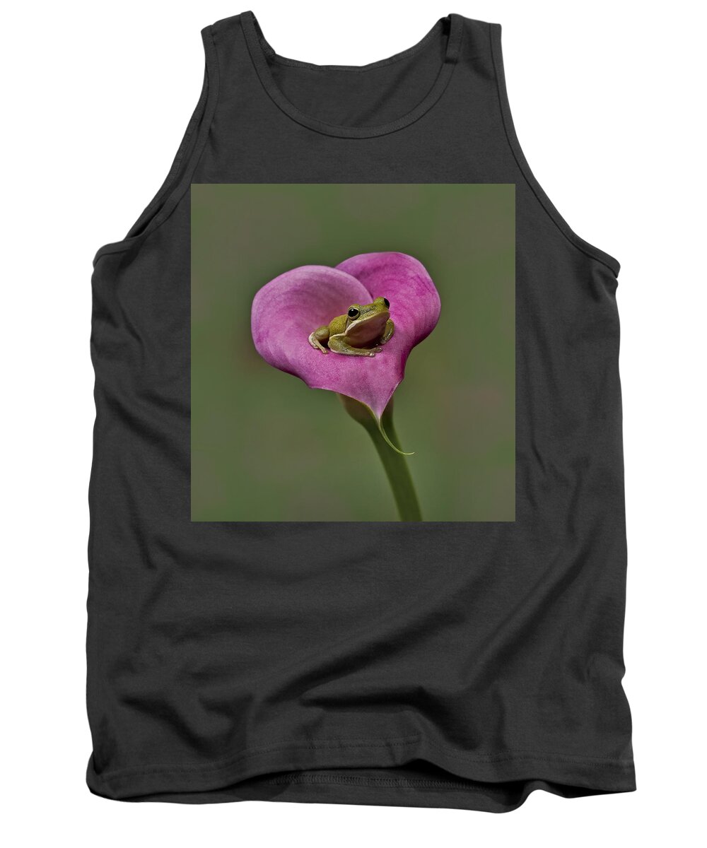 Calla Tank Top featuring the photograph Kermit Hangs Out by Susan Candelario