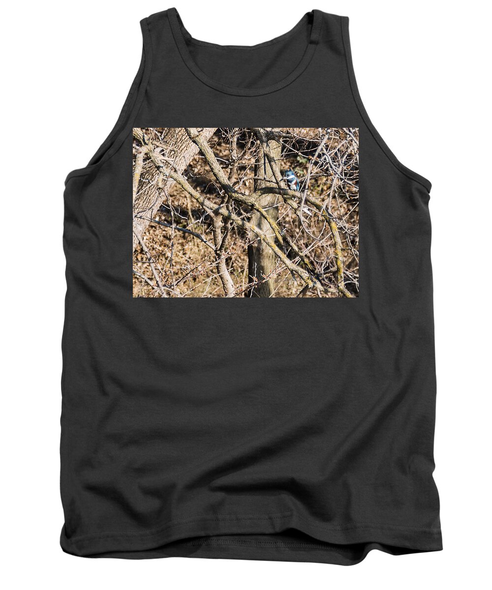 Kingfisher Tank Top featuring the photograph Kingfisher Hunting by Ed Peterson