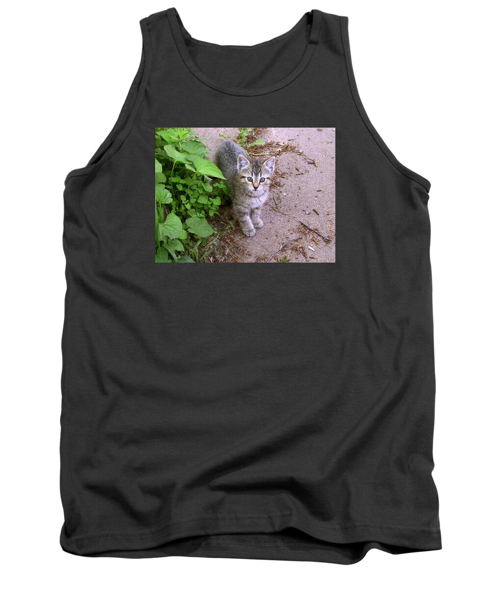 Pets Tank Top featuring the photograph Kitten On The Patio by Larry Capra
