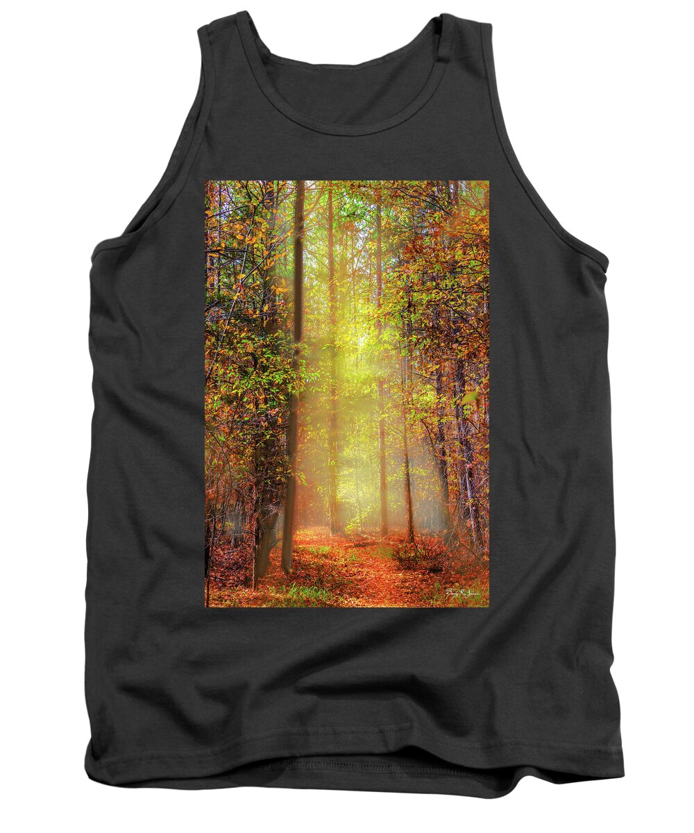 Trail Tank Top featuring the photograph Landscape - Sunrise - Into the Woods by Barry Jones