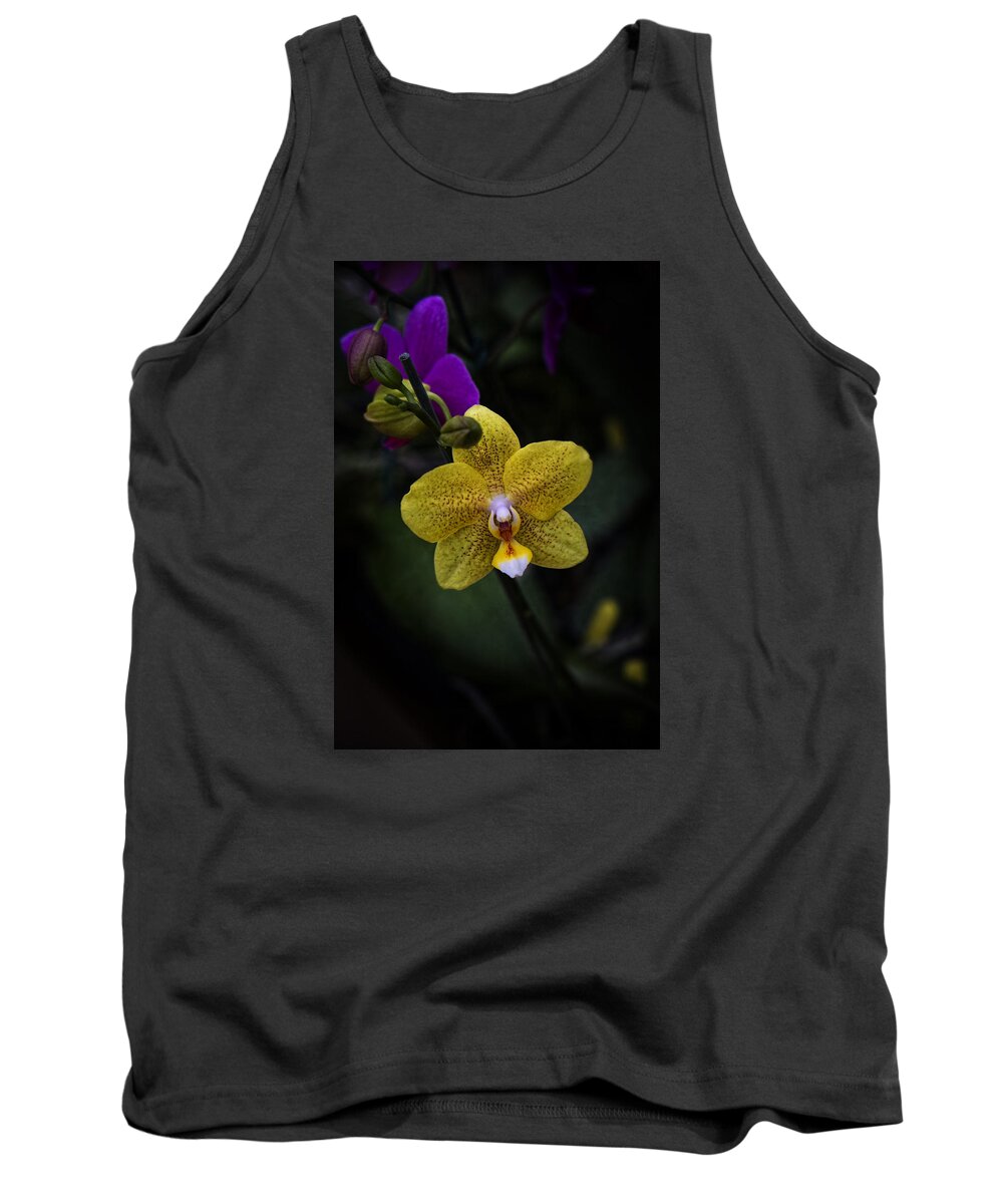 South Pacific Tank Top featuring the photograph Last Dance by Lucinda Walter