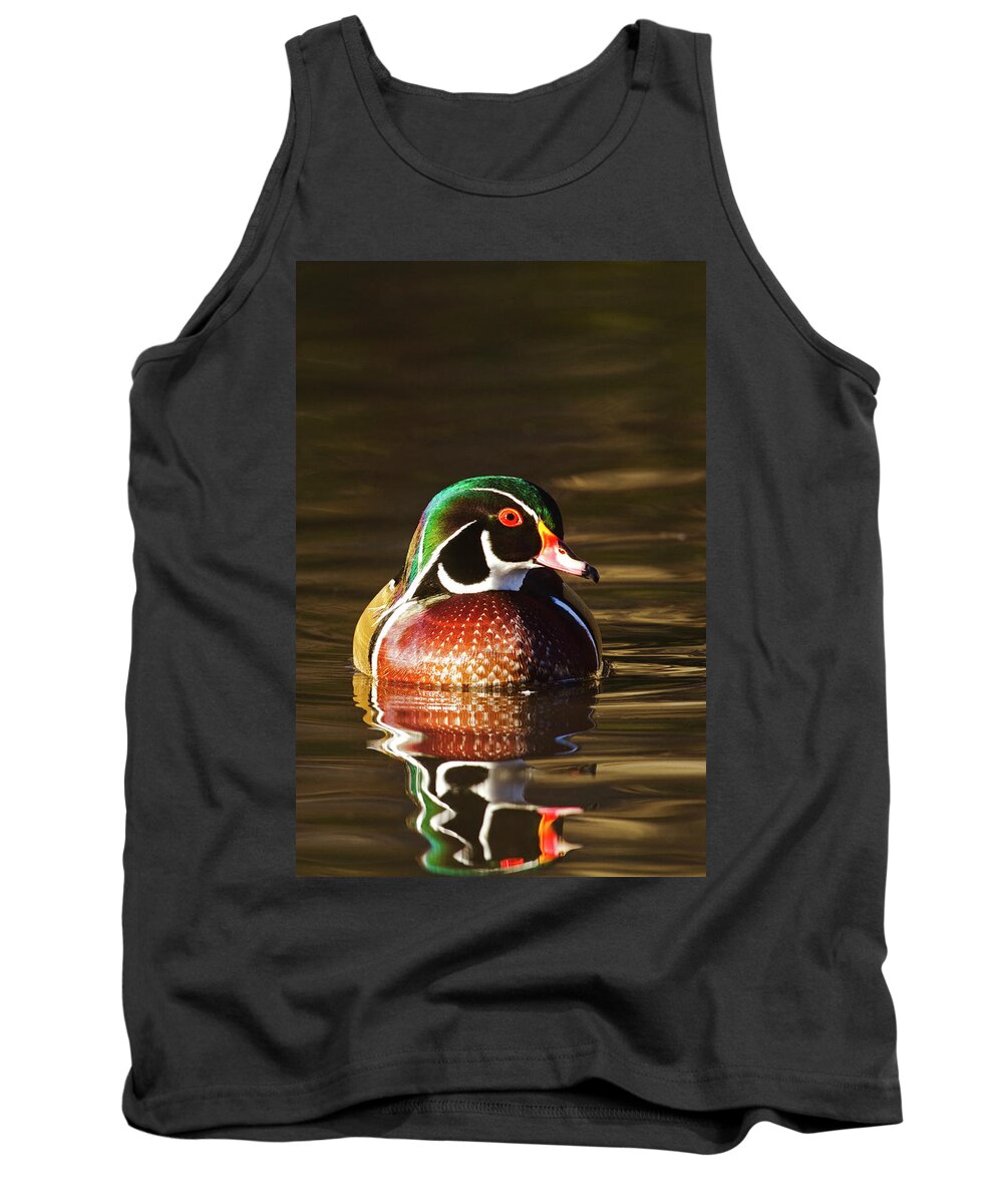 Ducks Tank Top featuring the photograph Last Light Wood Duck by Mark Miller