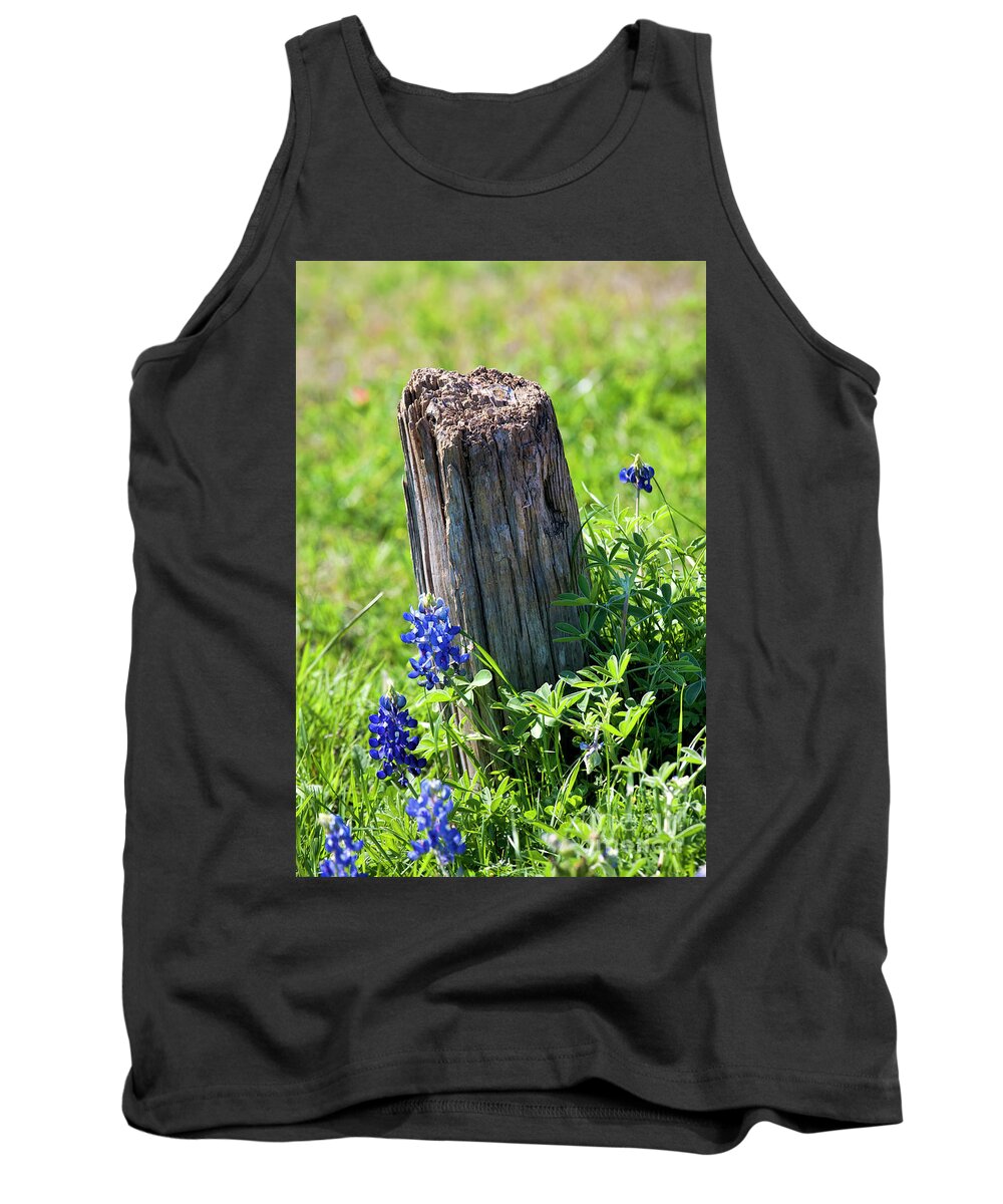 Blue Bonnets Tank Top featuring the photograph Lazin' In the Sun by Joan Bertucci