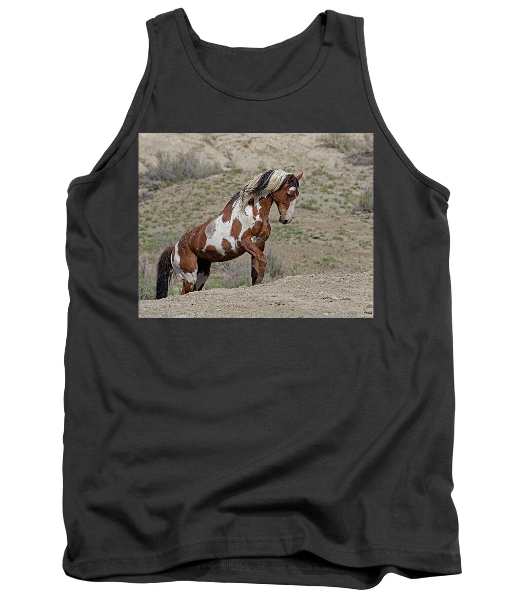 Mustangs Tank Top featuring the photograph Leading to Water by Mindy Musick King