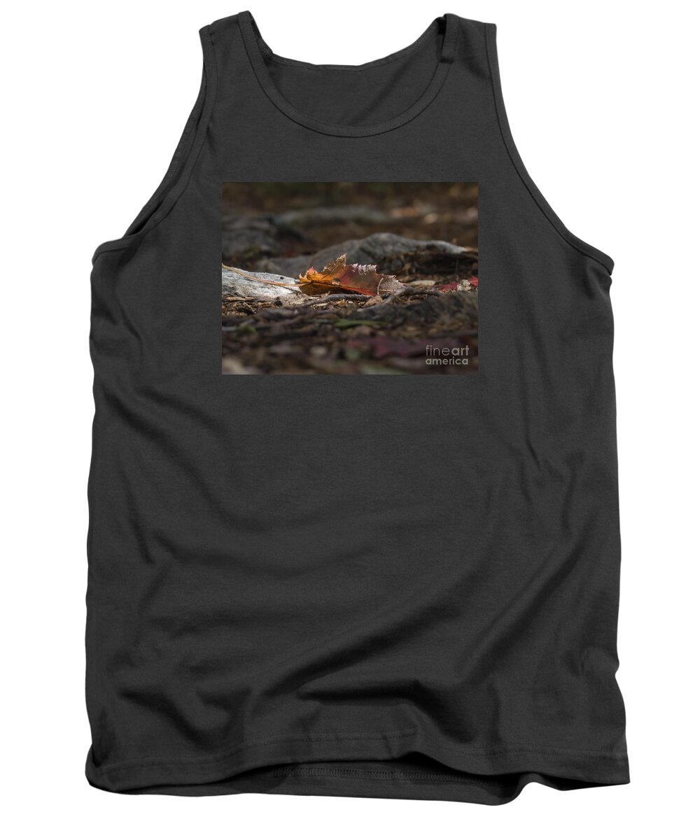 Path Tank Top featuring the photograph Leaf by Lili Feinstein